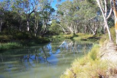 Mullaroo Creek Barrier Bouys