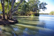 The Mouth of Mullaroo Creek
