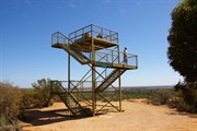 The Tower