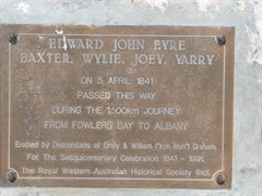 Plaque