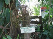Some Aussie bush humour