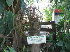 The Lions Den Pub - Some Aussie bush humour 