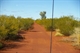 Road To Patience oil Well