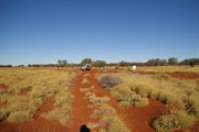 Callawa Track
