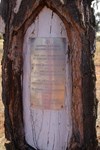 Lens Jupiter Well Tree and Plaque