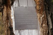 Lens Jupiter Well Tree and Plaque