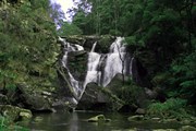 Stevenson Falls