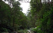 View along river