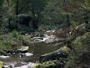 Another view along river
