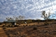 Sturt National Park Campsite
