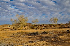 Sturt National Park Campsite