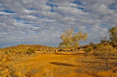 Sturt National Park Campsite