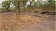 Remains of a Radio Antenna Mast