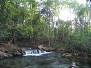 Berry Springs Nature Park