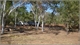 Bullita Campground