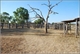 Bullita Stock Yards
