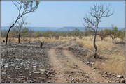 High Point on Bullita Stock Route