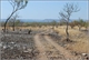 High Point on Bullita Stock Route