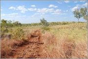 Gibbie Creek Track