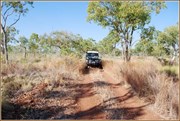 Along the Gibbie Creek Track