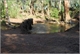 River Crossing