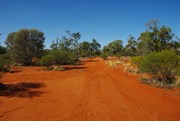 Track Junction