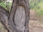 150 year old markings