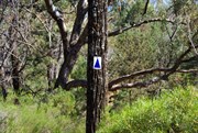 Old Blue and White Arrow Marker