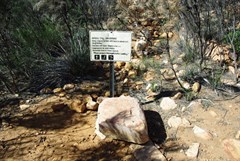 Nature Trail Sign