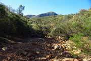 North Wilpena Creek