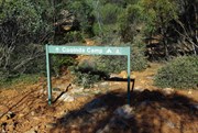 Cooinda Camp