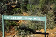 Cooinda Camp