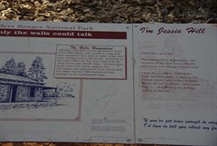 Old Hills Homestead 