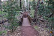 Small Bridge and Stone Steps