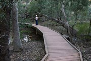 Foot Bridge over Wilpena Creek