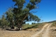 Nuccaleena Creek