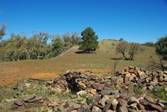 Tam O’Shanter Hotel Ruins 