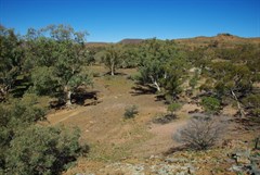 Tam O’Shanter Hotel Ruins 