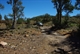 Driving up the bed of Nuccaleena Creek