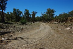 Gully (Nuccaleena Creek) - Driving up the bed of Nuccaleena Creek 