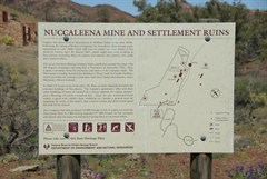 Nuccaleena Mine Ruins - Nuccaleena Mine Site 