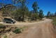 Valley Paddock Track