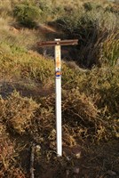 Joanna Spring - The marker post at Joanna Spring 
