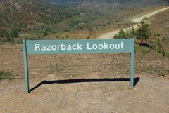 Razorback Lookout