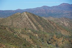 Razorback Lookout