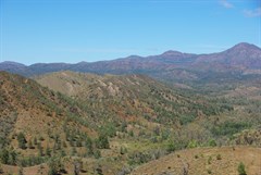 Razorback Lookout