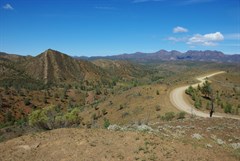 Razorback Lookout