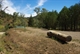 Bunyeroo Gorge