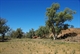 Moralana Creek Crossing