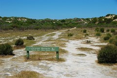Ocean Beach Walking Sign